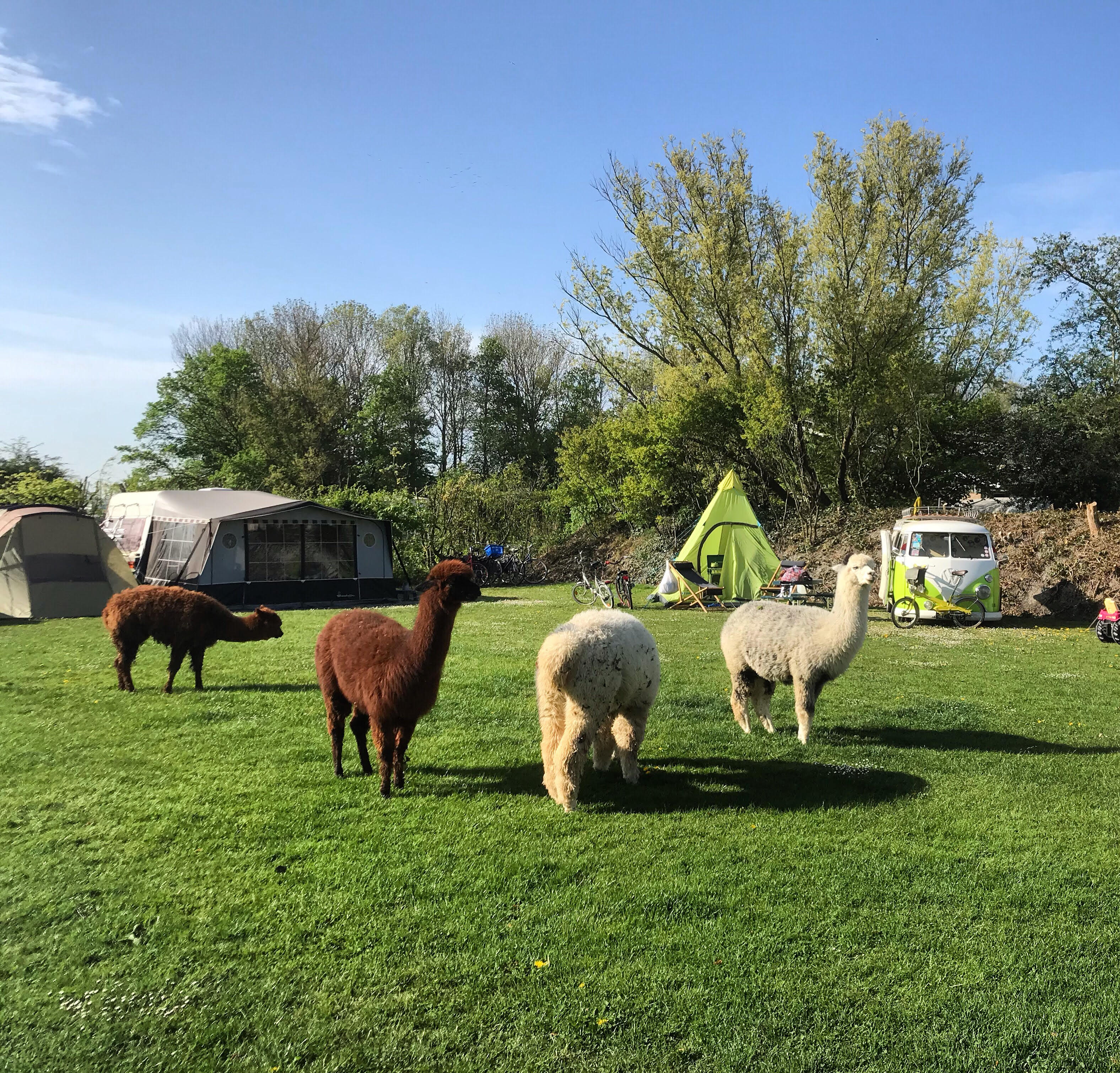 Minicamping Aan de Waterspiegel