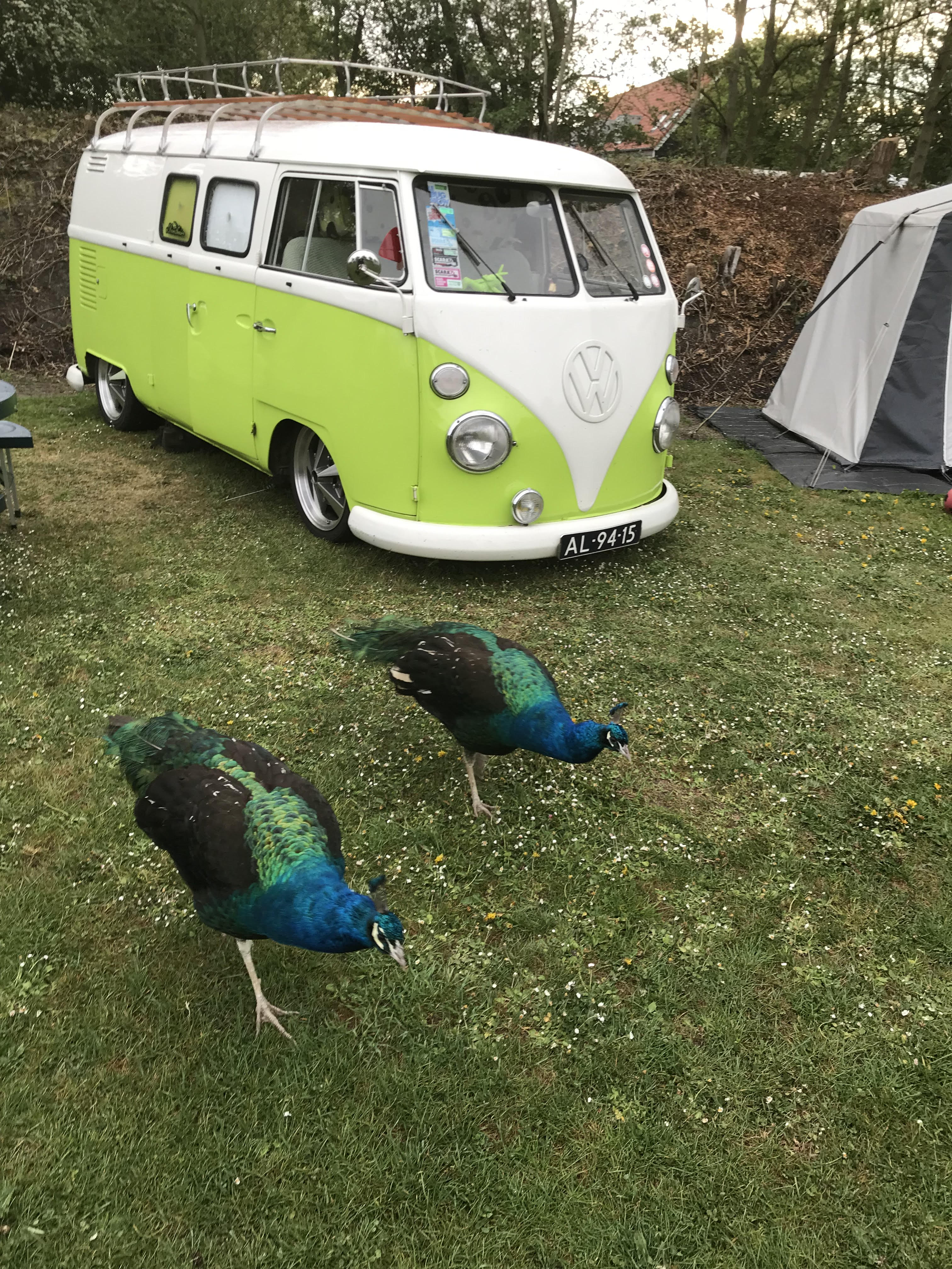 Minicamping Aan de Waterspiegel