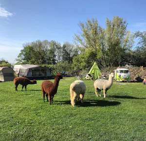 Minicamping Aan de Waterspiegel