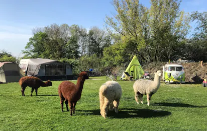Minicamping Aan de Waterspiegel