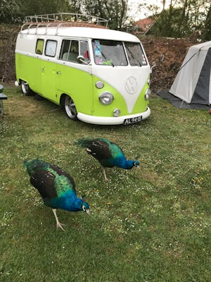 Minicamping Aan de Waterspiegel