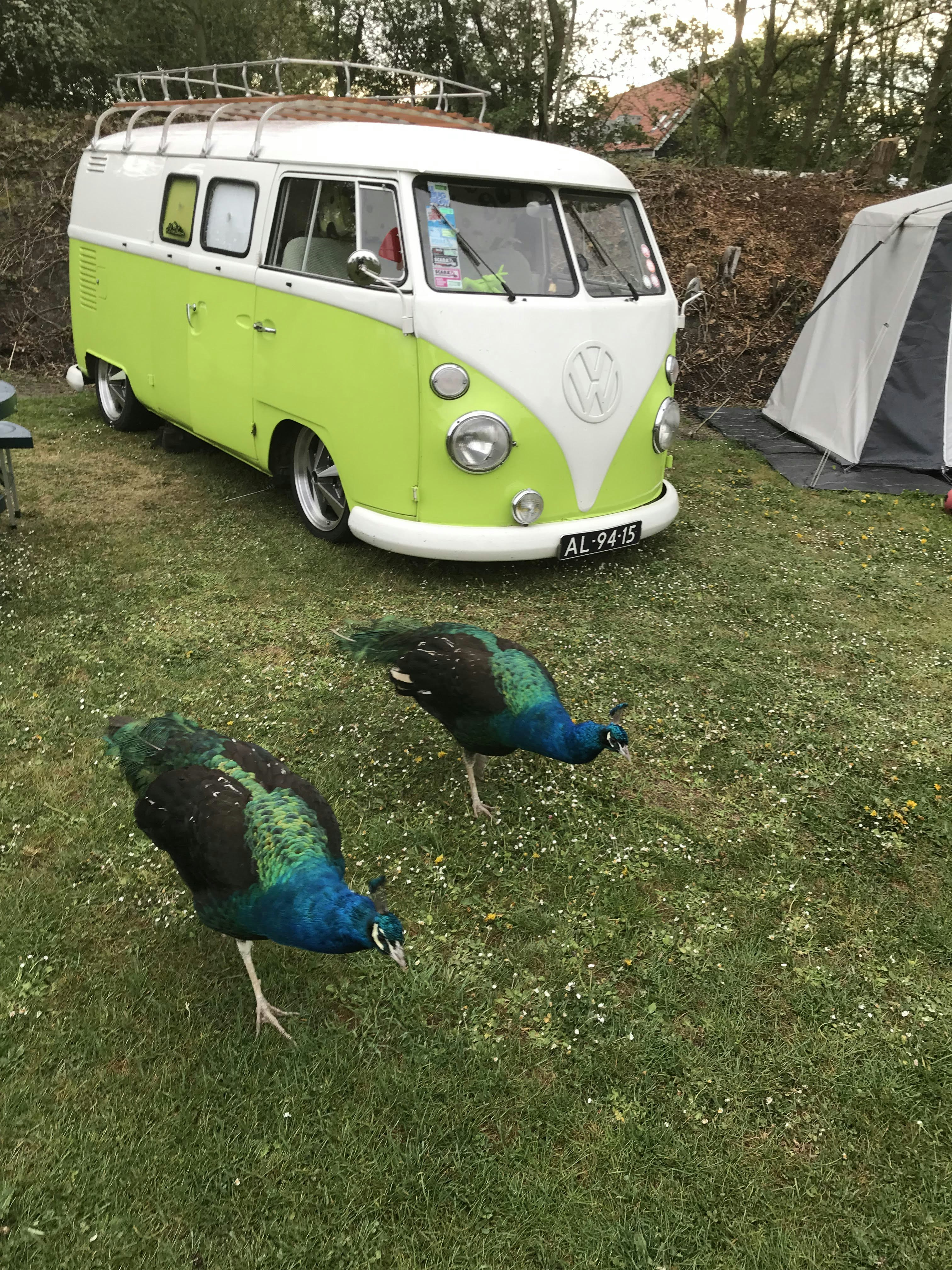 Minicamping Aan de Waterspiegel