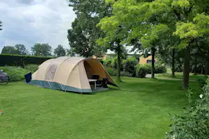Minicamping Achterhoeks Goed - Zeltplatz zwischen den Bäumen auf dem Campingplatz