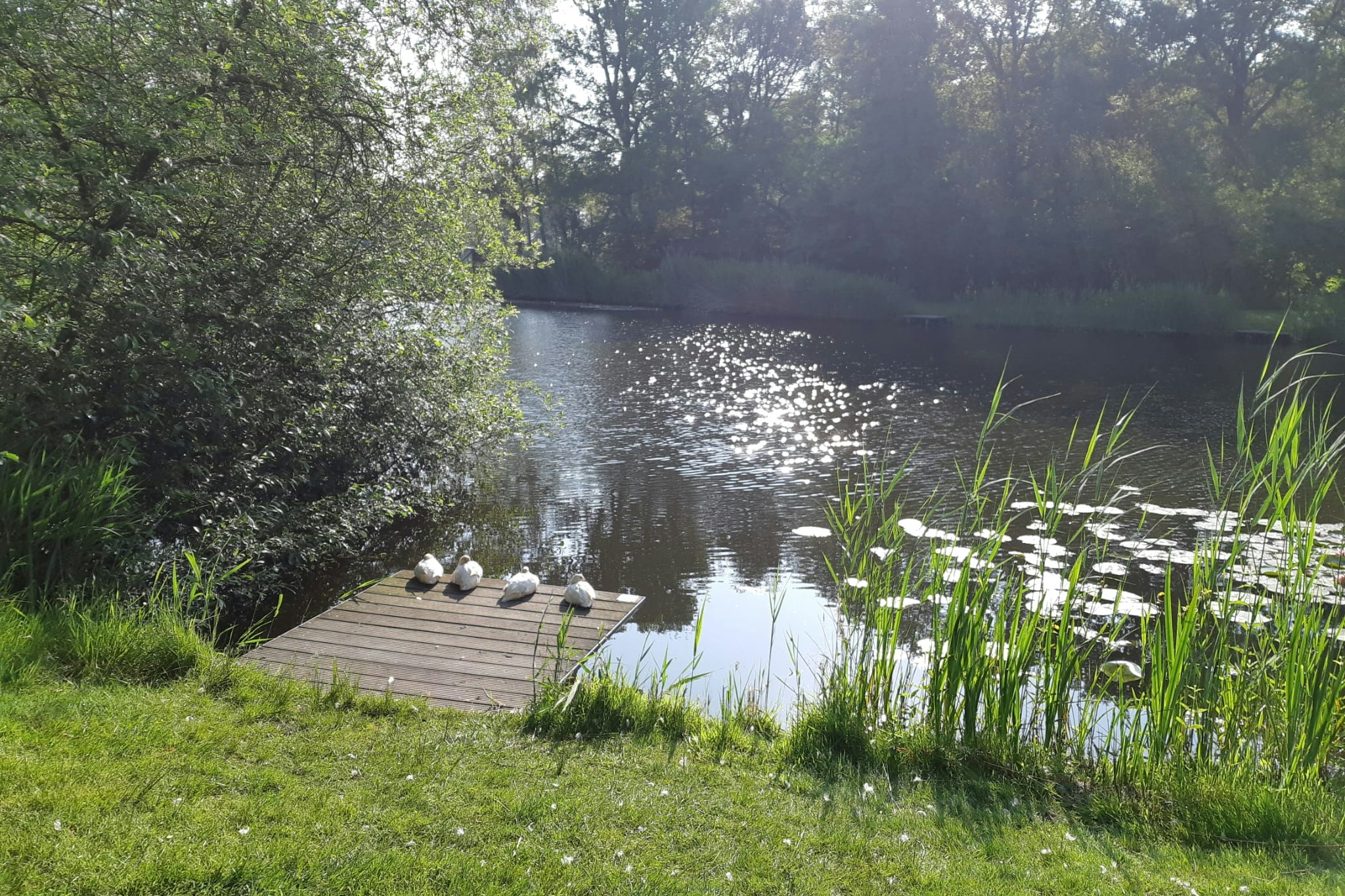 Minicamping ArcheryFarm - Blick auf den Bach am Campingplatz