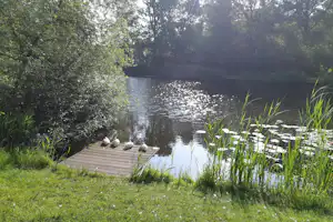 Minicamping ArcheryFarm - Blick auf den Bach am Campingplatz