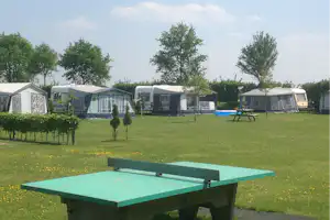Campingstellplätze mit Wohnwagen und Zelten, Rasenfläche, Bäume und ein Picknicktisch vor mehreren Unterkünften.