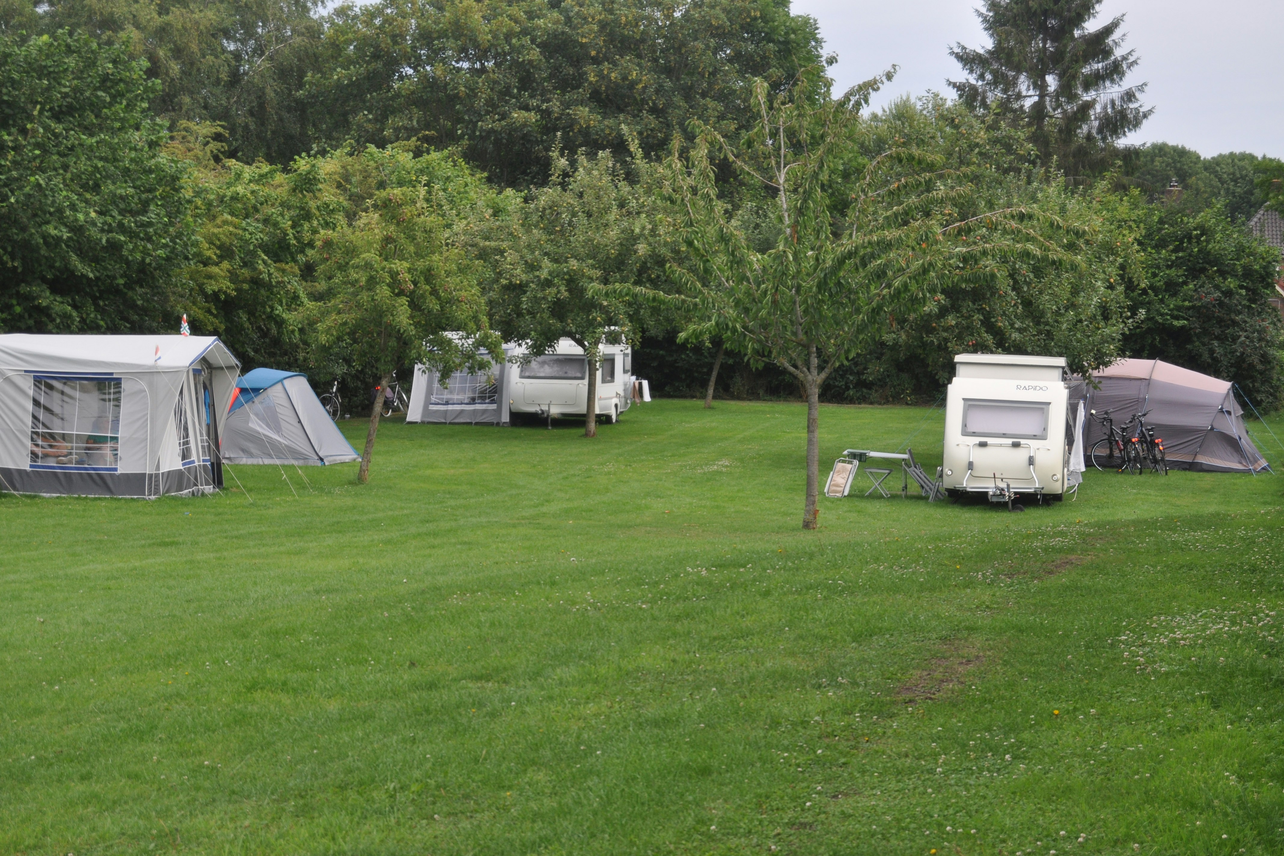 Hoeve Witteborg - Standplätze im Grünen auf dem Campingplatz