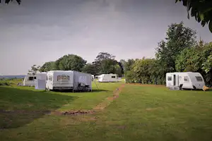 Minicamping Blauwestadhoeve - Wohnmobil- und Wohnwagenstellplätze auf der Wiese