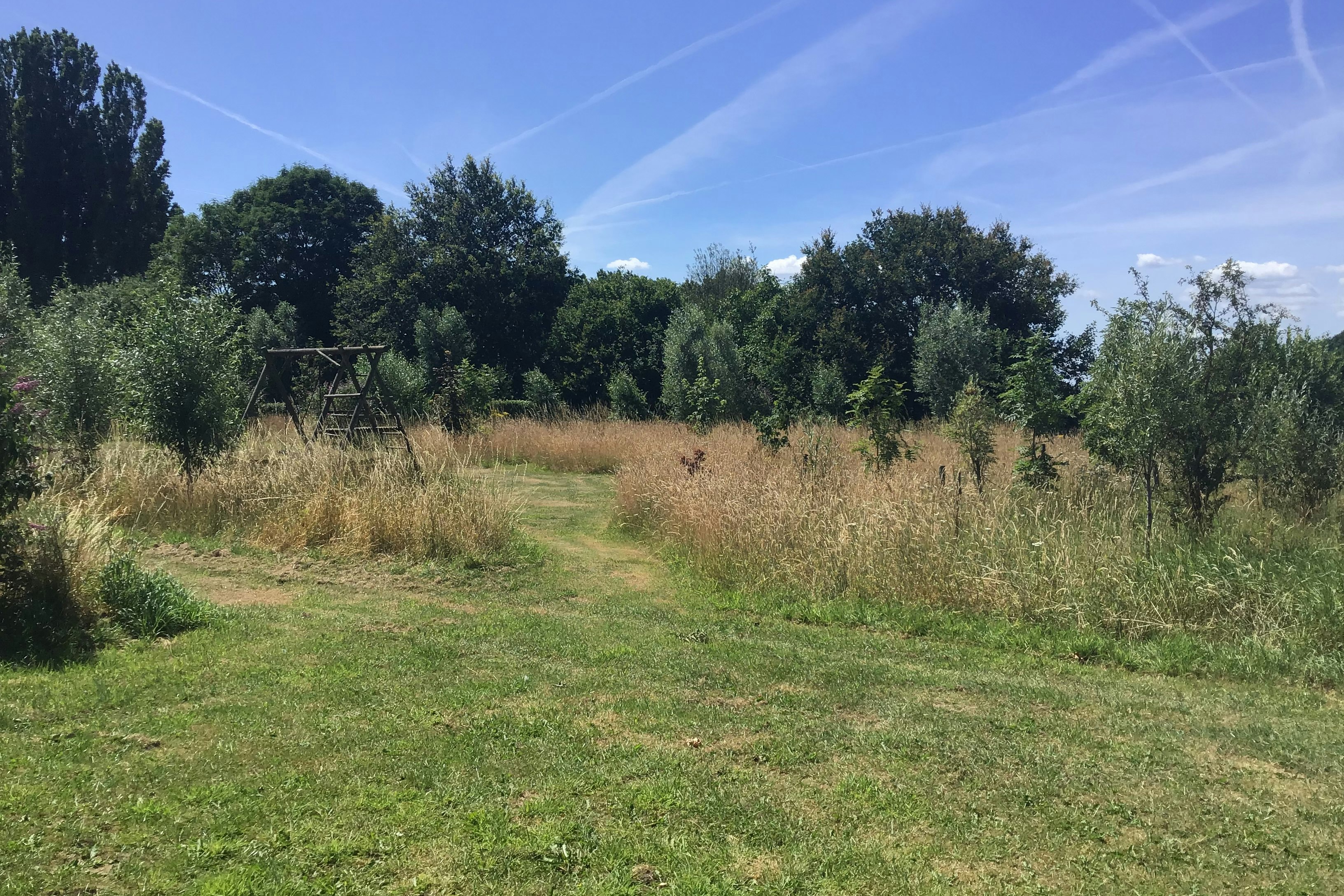Minicamping Boerderij de Vrije Geest - Standplätze auf dem Campingplatz