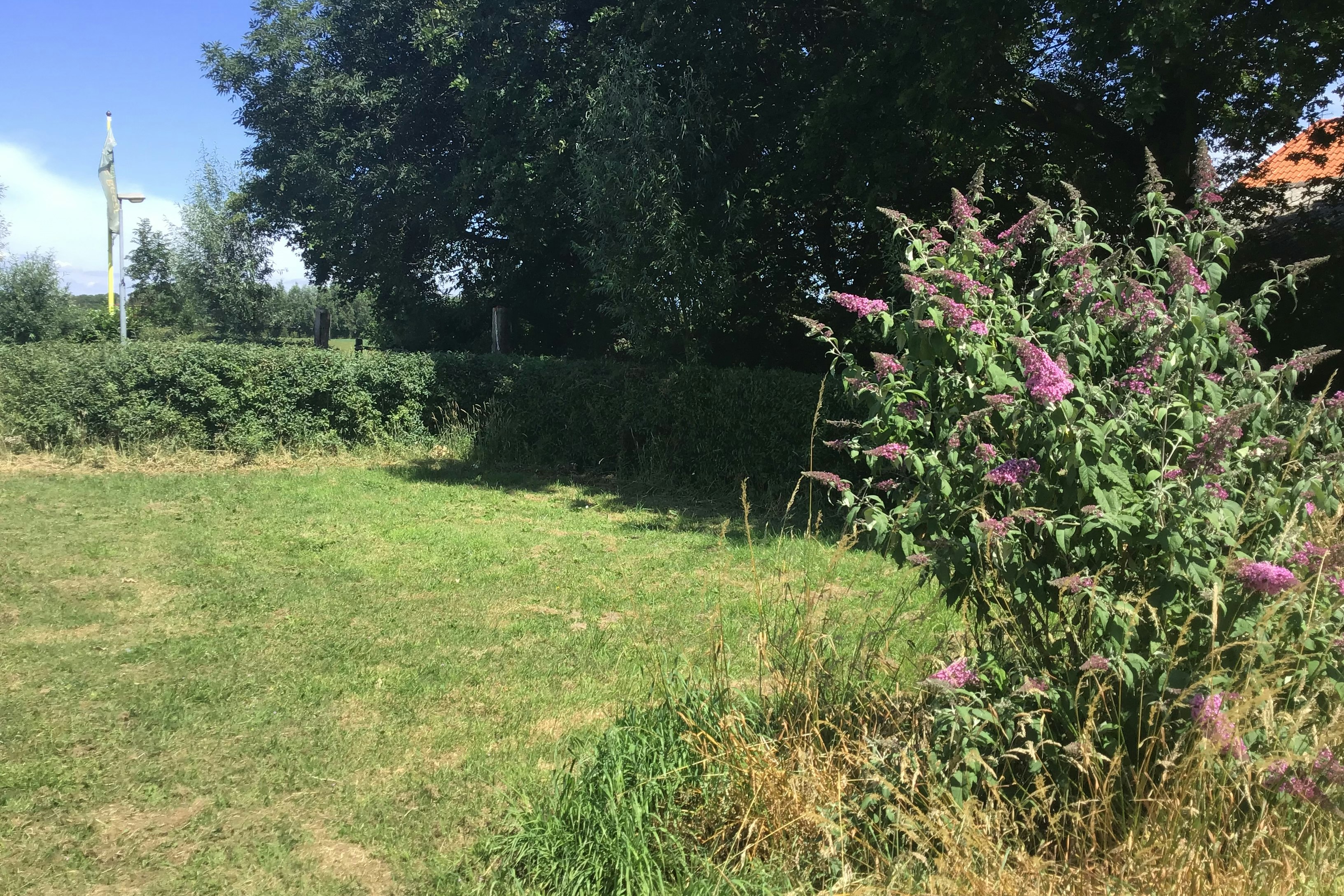 Minicamping Boerderij de Vrije Geest - Standplatz auf der Wiese auf dem Campingplatz