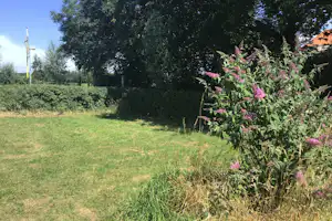 Minicamping Boerderij de Vrije Geest - Standplatz auf der Wiese auf dem Campingplatz