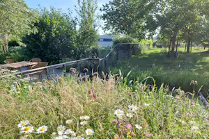 Blumenbeet mit weißen und gelben Blüten vor einem gepflegten Campinggarten, dahinter Hecke und Zaun.