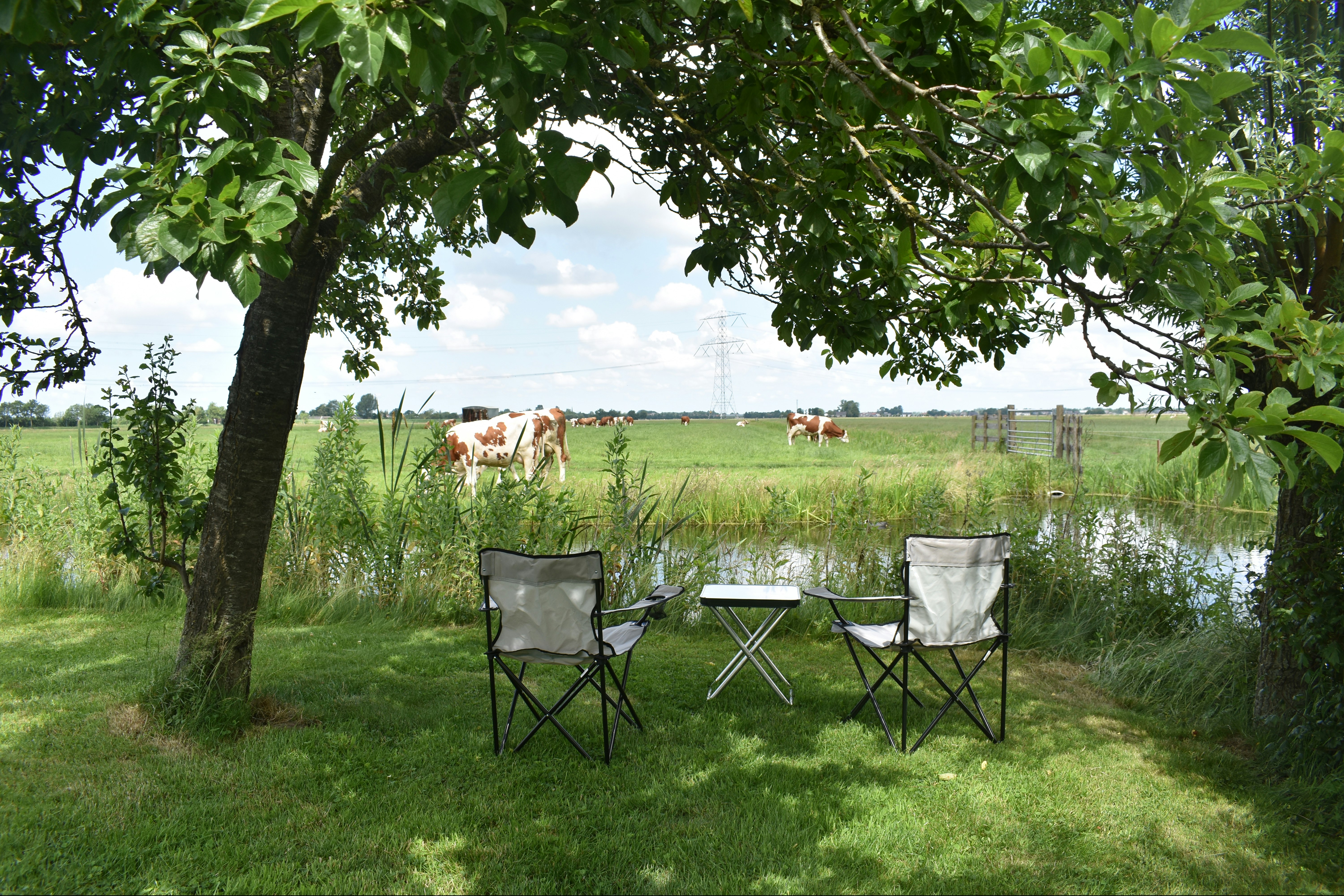 Minicamping Boerderij Hazenveld - Entspannung mit Blick auf das Wasser und die Kühe-