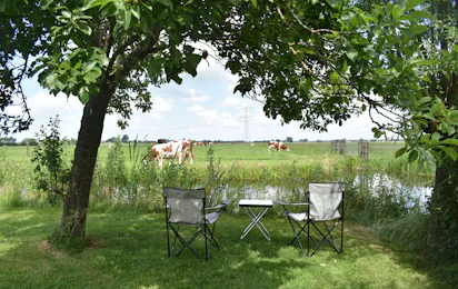 Boerderij Hazenveld Mini-Camping - B&B
