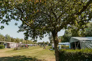 Minicamping Boudewijnskerke - Standplätze auf dem Campingplatz