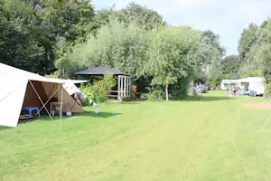 Buitengoed Holthees Minicamping Buitenboel Bij ons4 - Standplätze auf der Wiese auf dem Campingplatz
