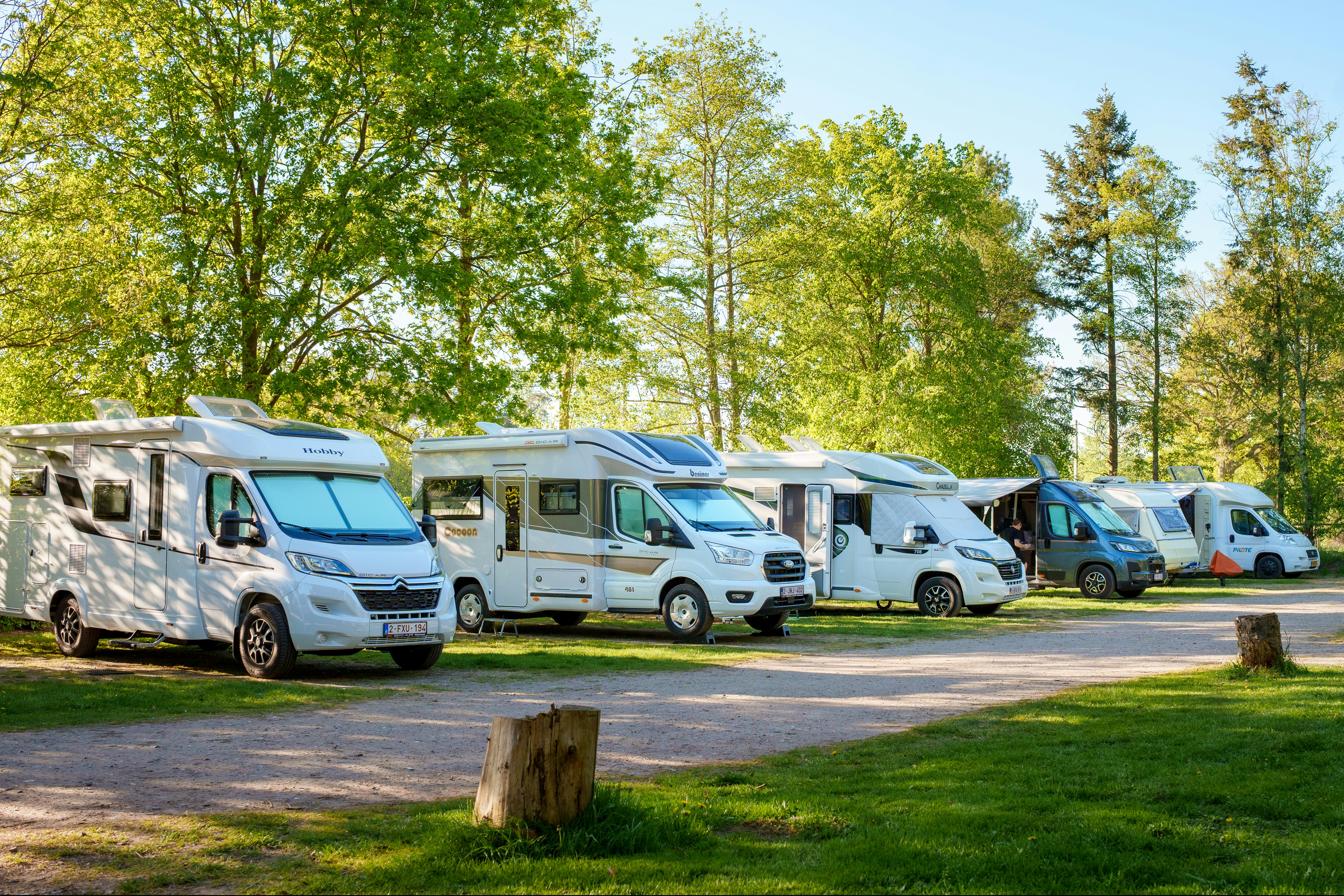 Wohnmobile auf einem Campingplatz entlang eines Weges, mit Rasenfläche und Bäumen im Hintergrund.