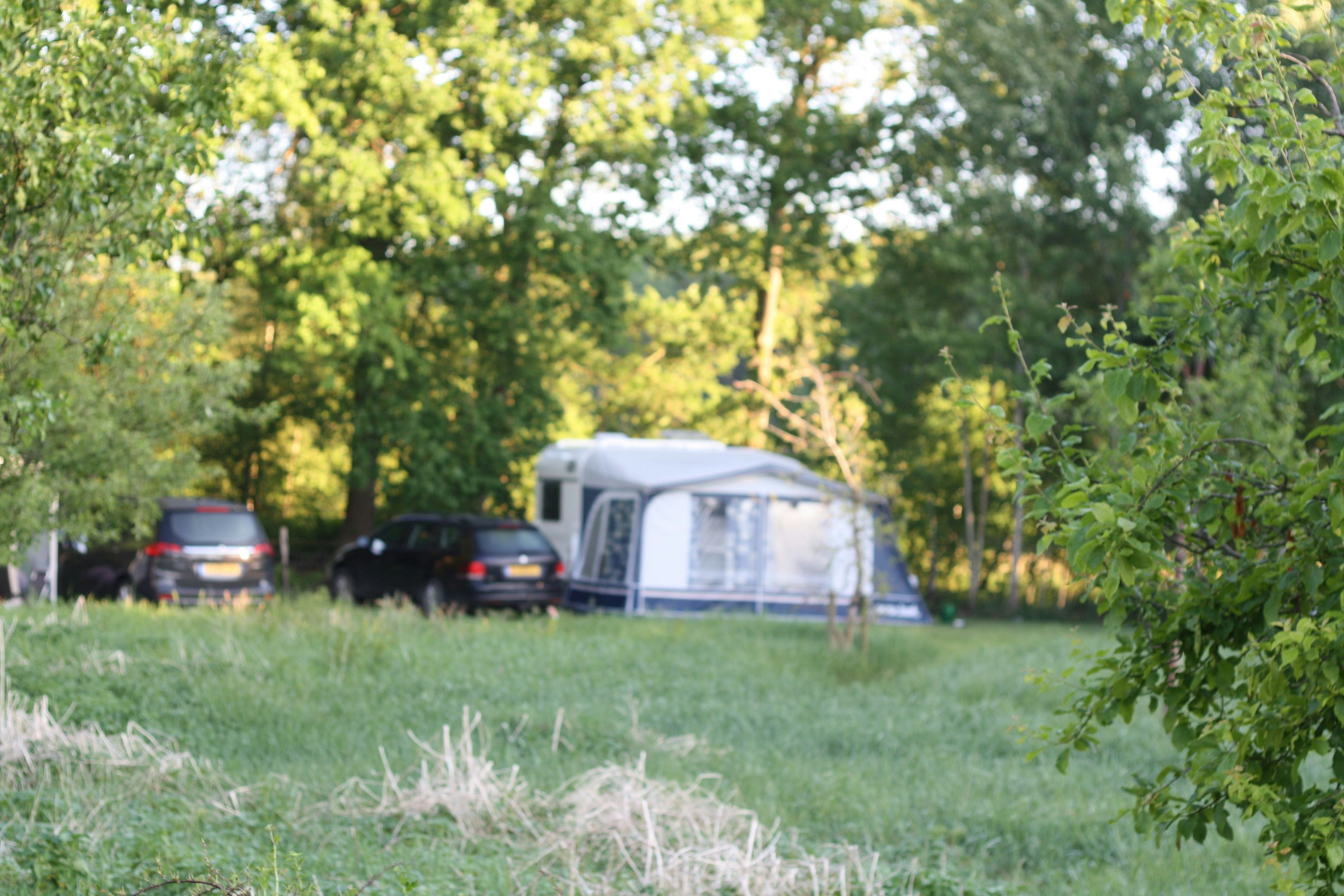 Minicamping De Bulte - Standplätze auf dem Campingplatz