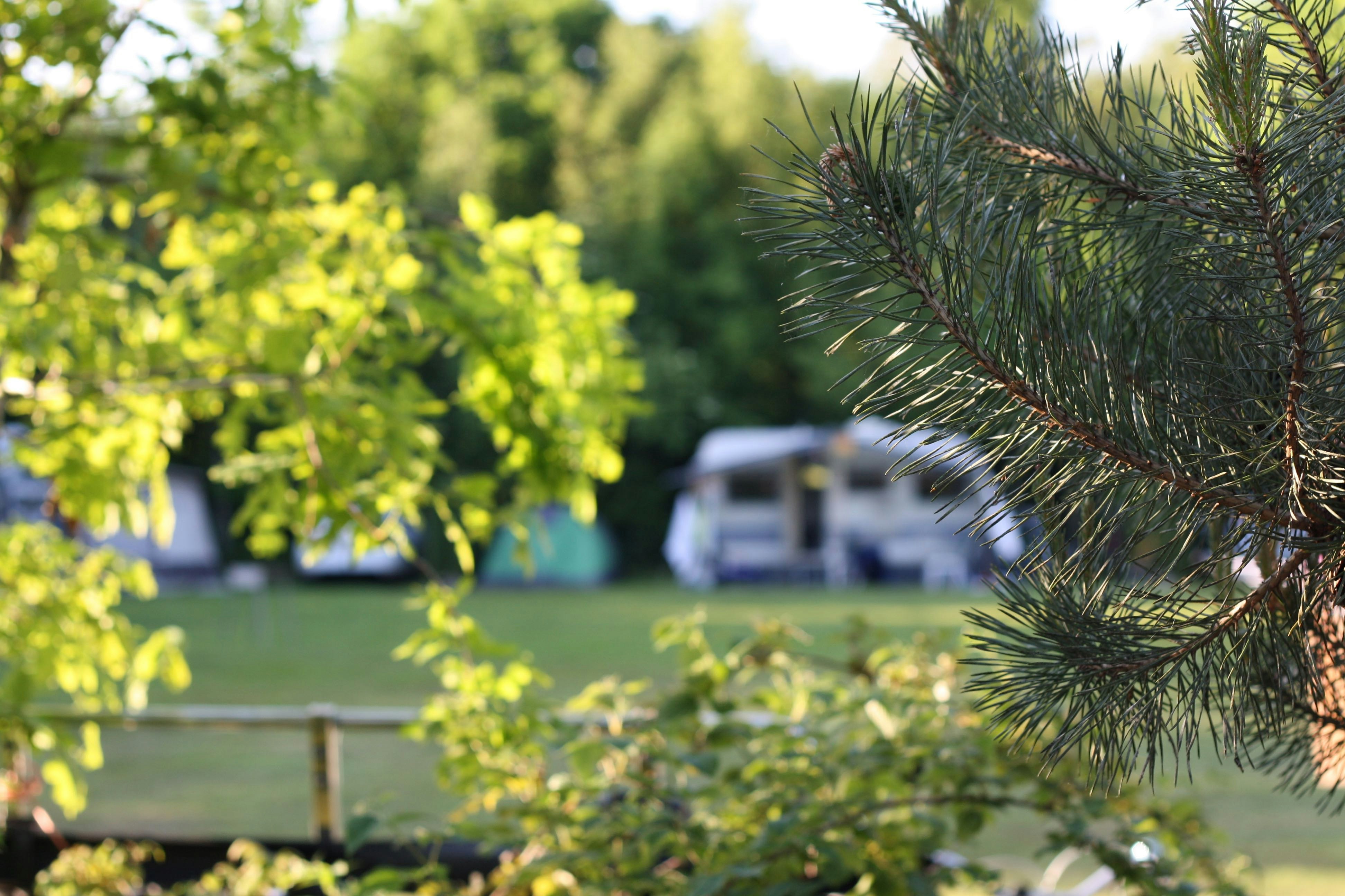 Minicamping De Bulte - Standplätze auf dem Campingplatz
