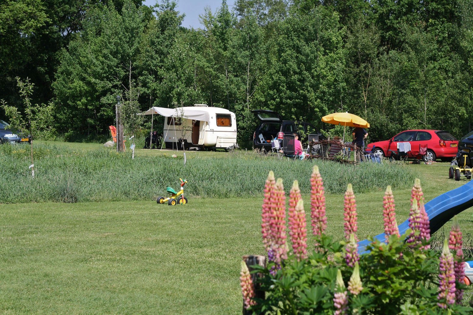Minicamping De Bulte - Standplätze auf dem Campingplatz