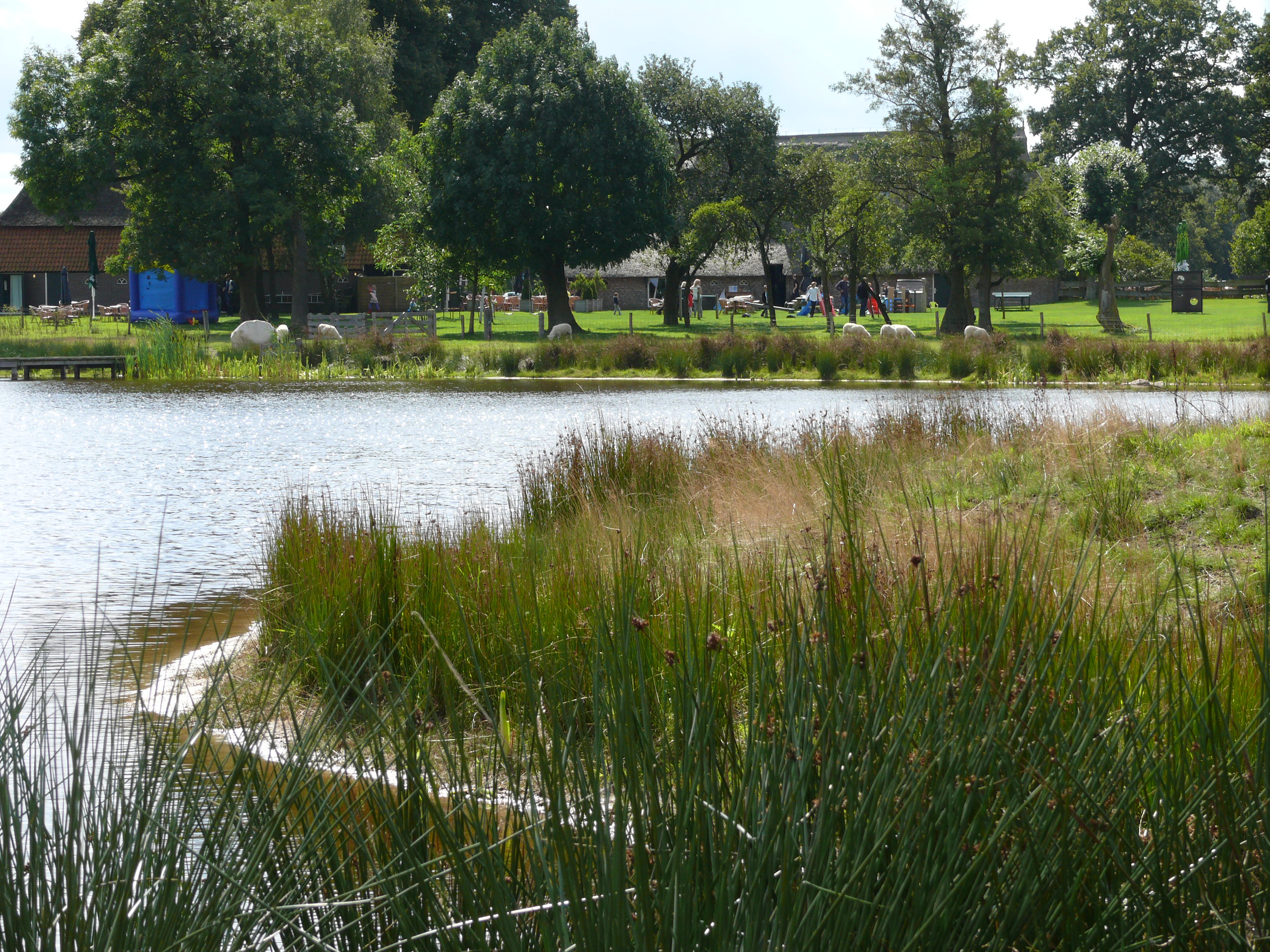 Minicamping De Eikenzoom