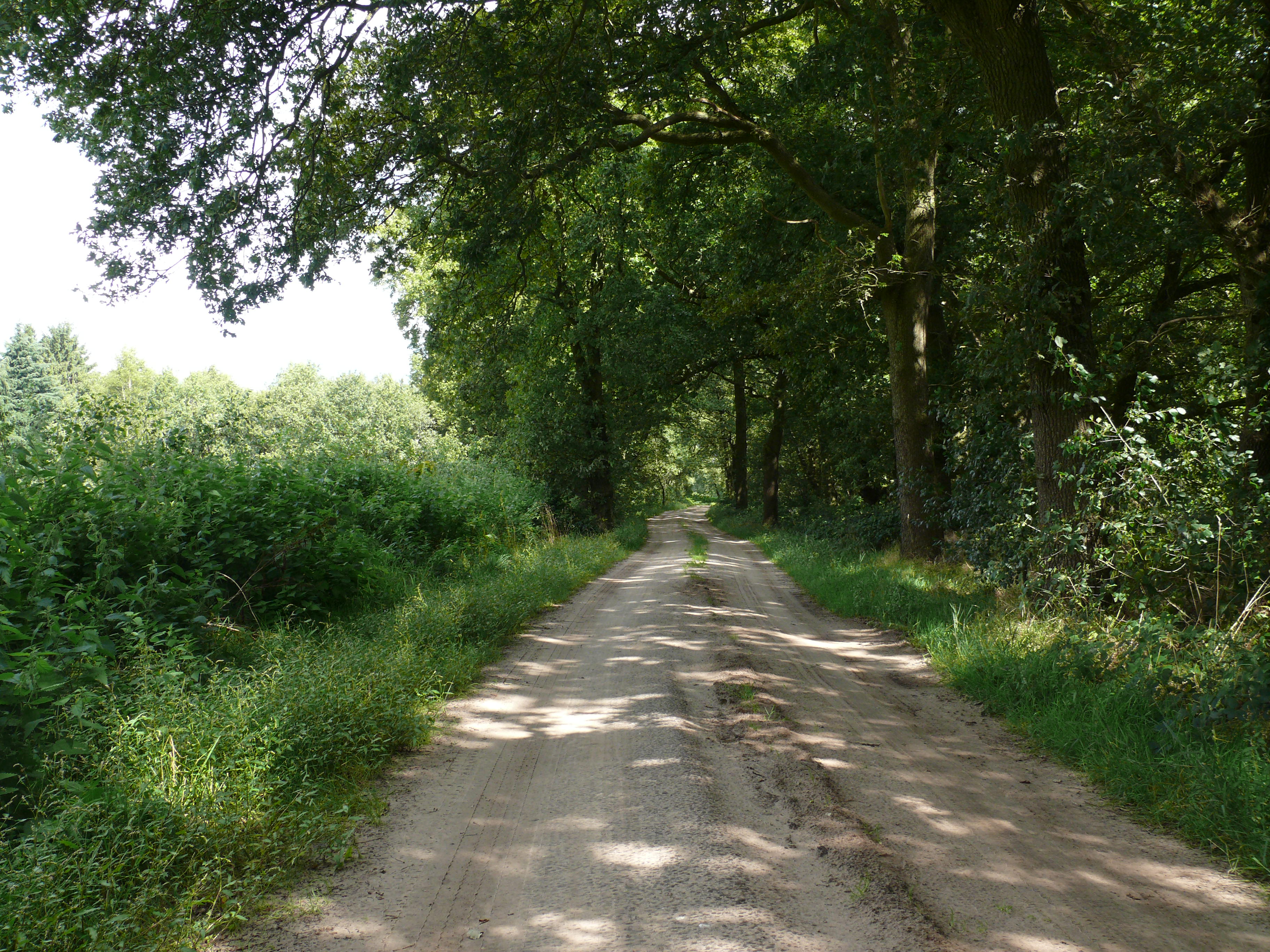 Minicamping De Eikenzoom