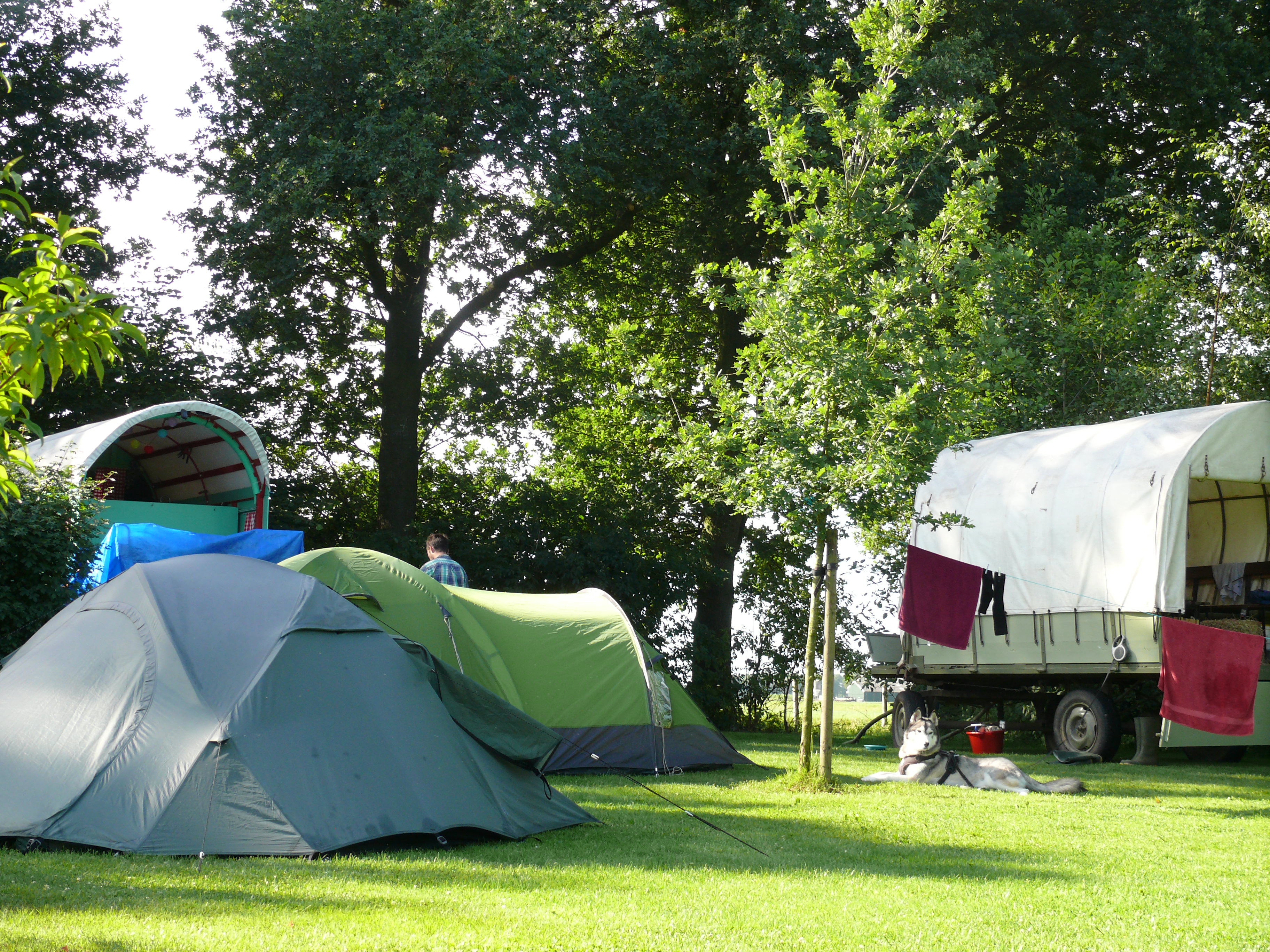 Minicamping De Eikenzoom