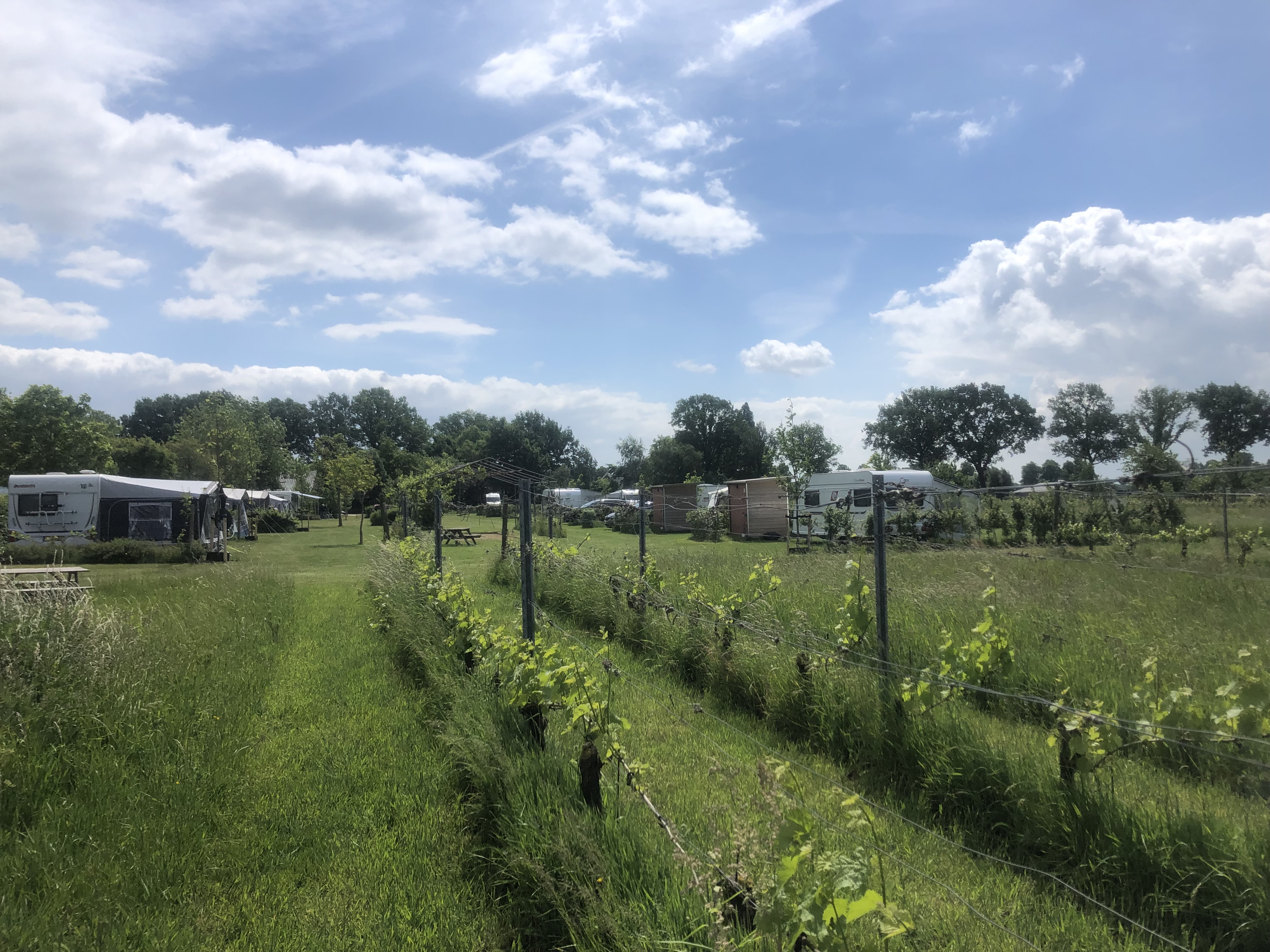 Minicamping De Hartjens