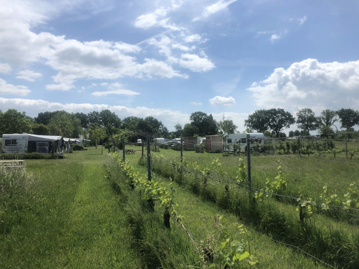 Minicamping De Hartjens