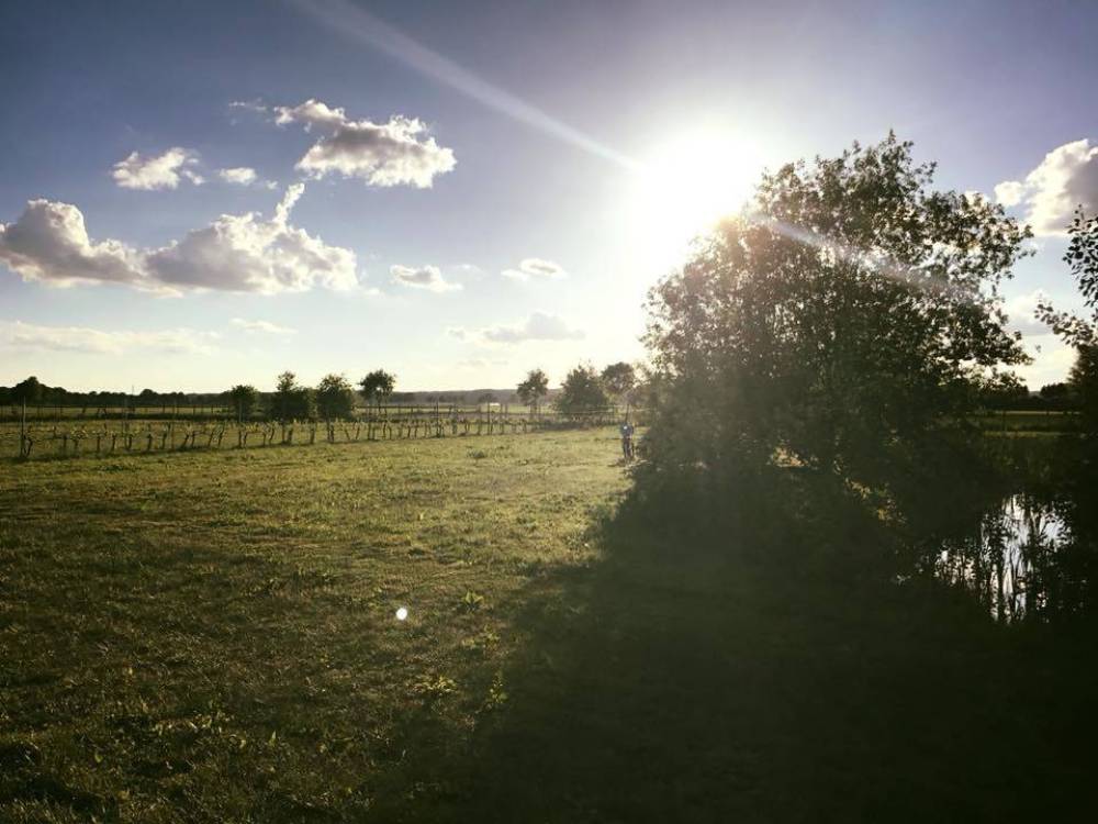 Minicamping De Hartjens