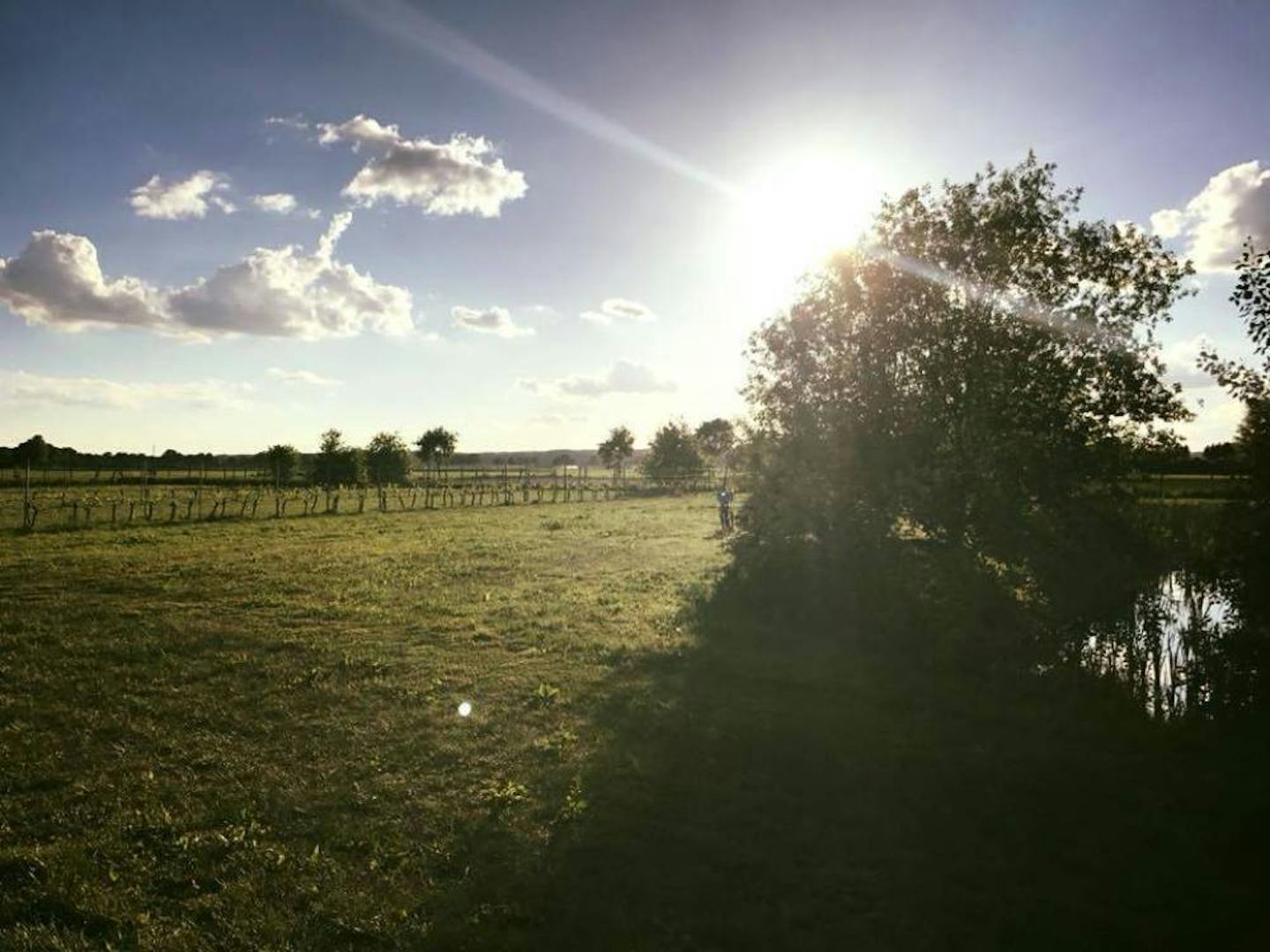 Minicamping De Hartjens