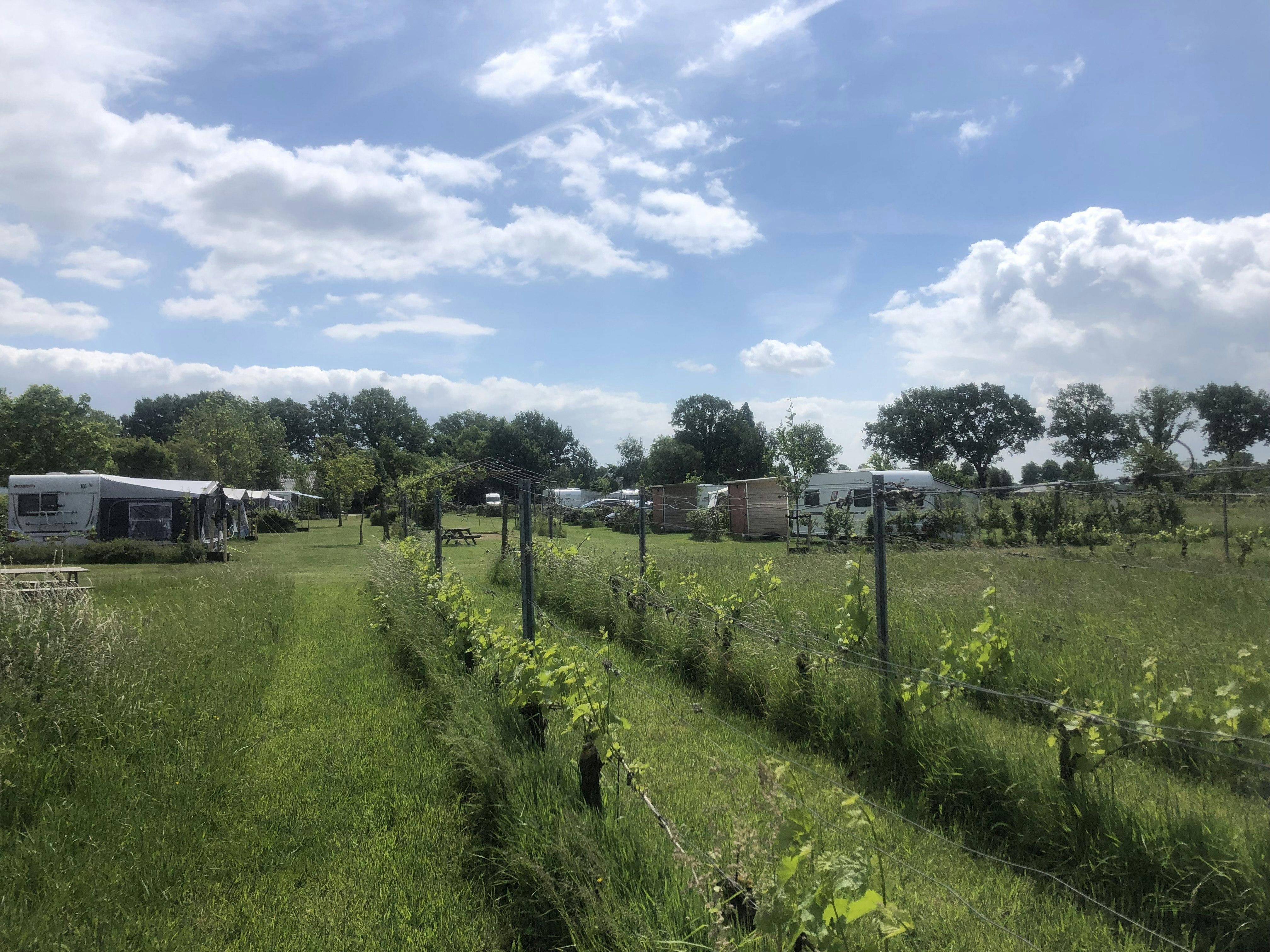 Minicamping De Hartjens