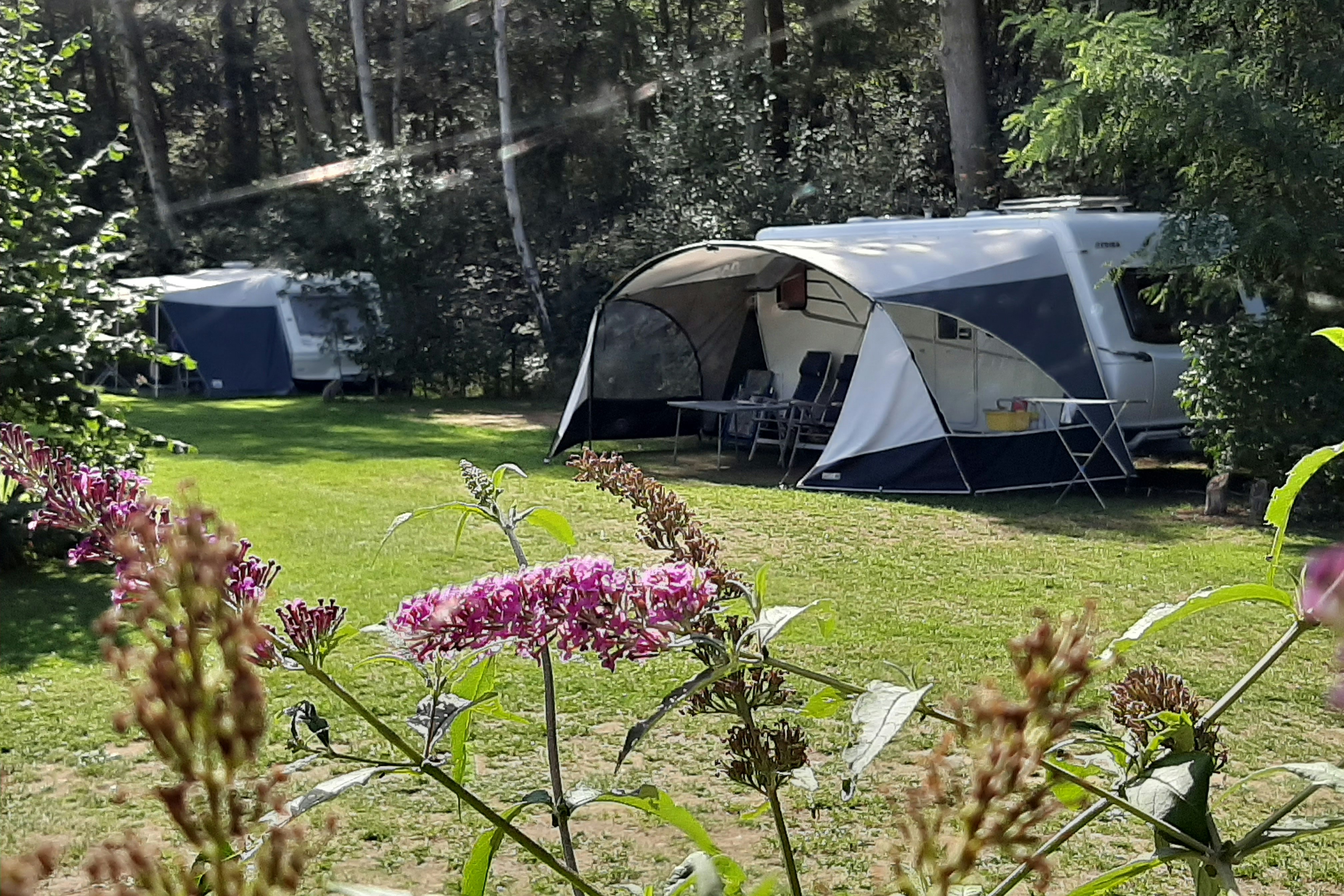 Minicamping de Hippe Kip  - Stellplätze auf dem Campingplatz