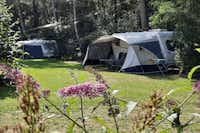 Minicamping de Hippe Kip  - Stellplätze auf dem Campingplatz