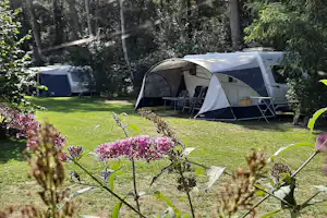 Minicamping de Hippe Kip - Stellplätze auf dem Campingplatz
