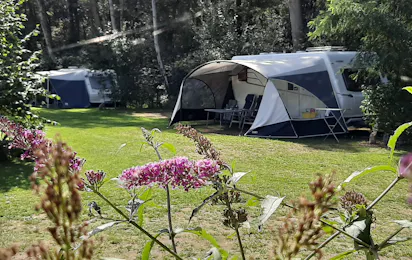 Minicamping de Hippe Kip