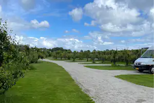 Minicamping De Kampeertuin - Standplätze auf dem Campingplatz