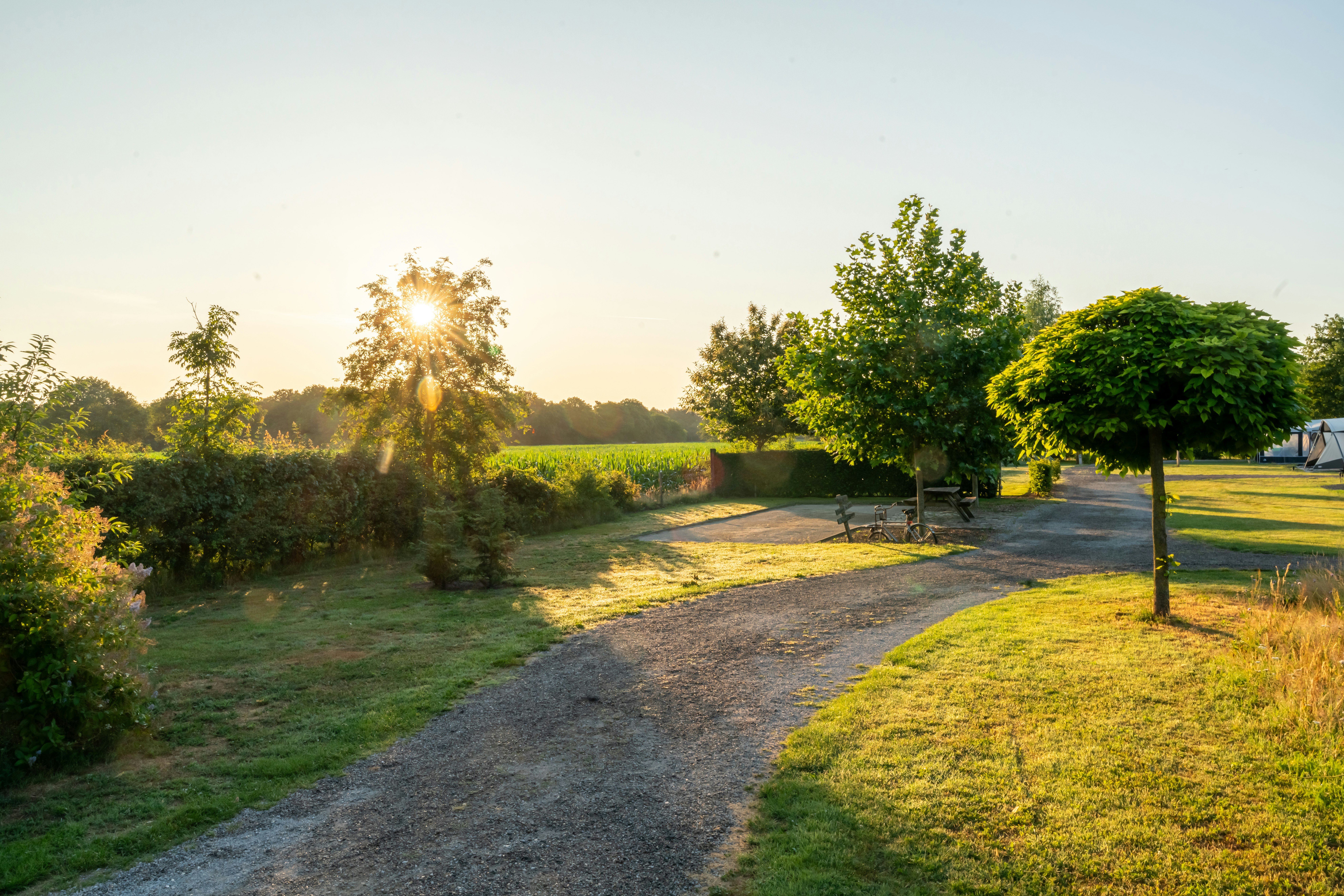 Minicamping De Kleine Abtshoeve - Blick auf den Campingplatz im Grünen