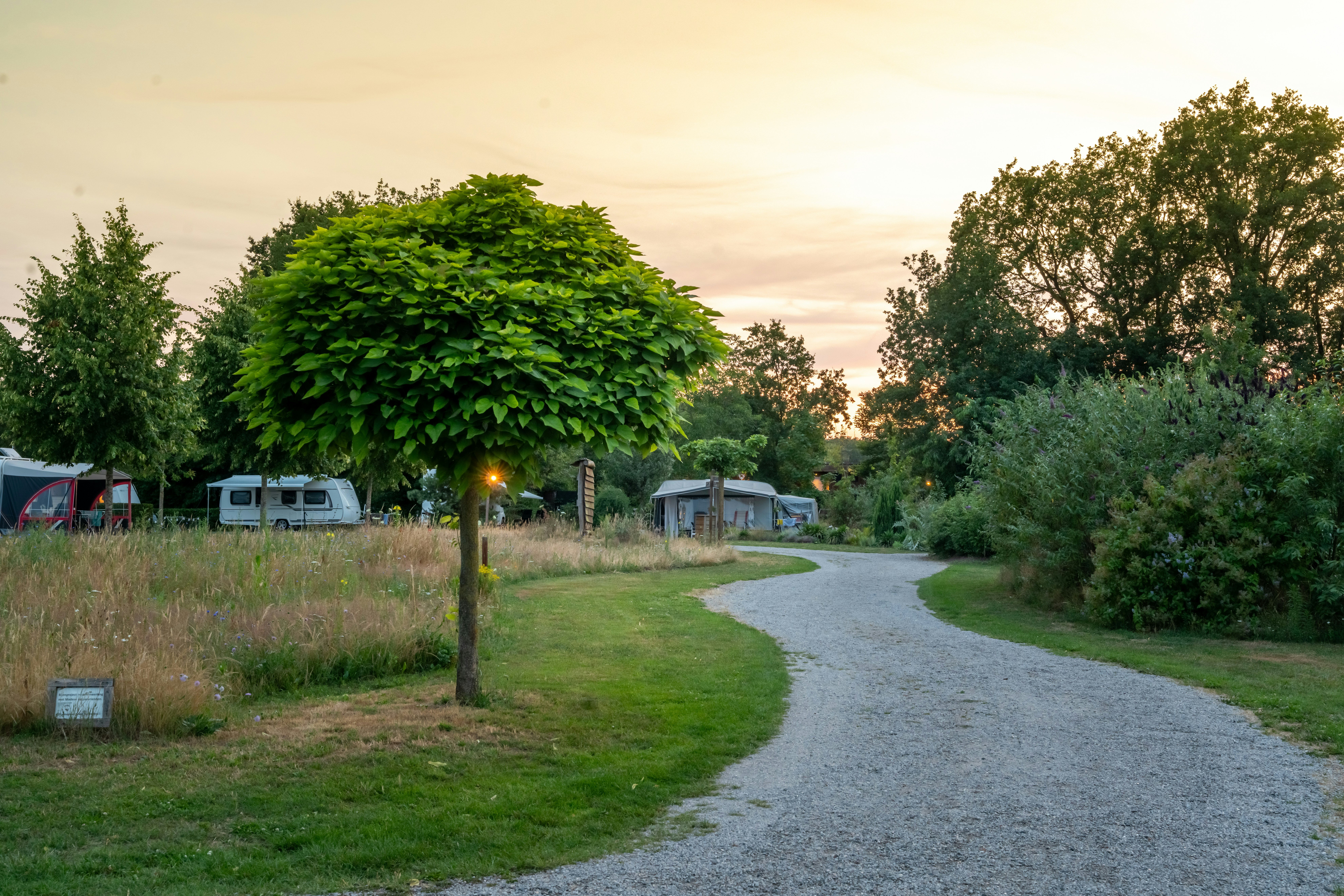 Minicamping De Kleine Abtshoeve - Blick auf die Standplätze bei Sonnenuntergang