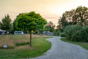 Minicamping De Kleine Abtshoeve - Blick auf die Standplätze bei Sonnenuntergang