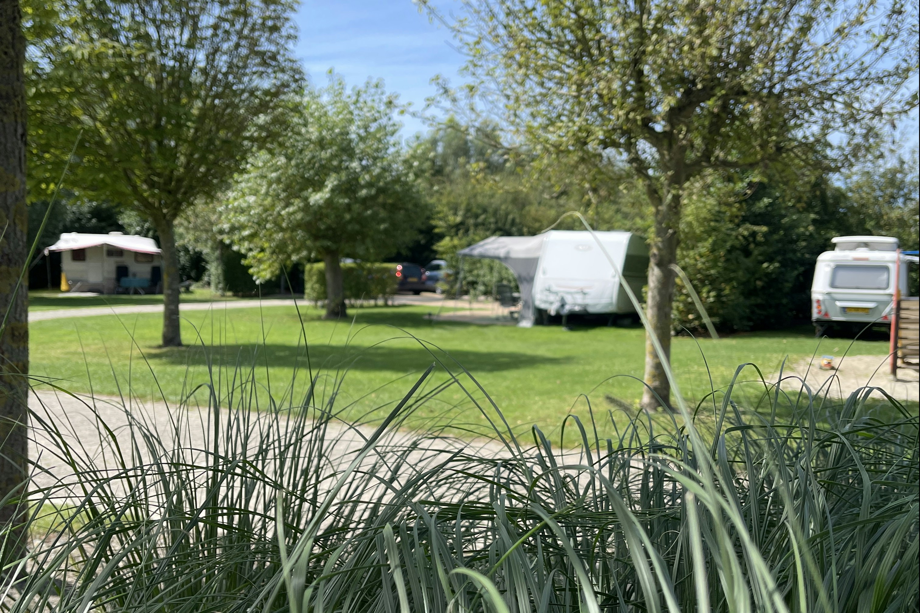 Minicamping De Knokkert - Blick auf die Standplätze auf der Wiese