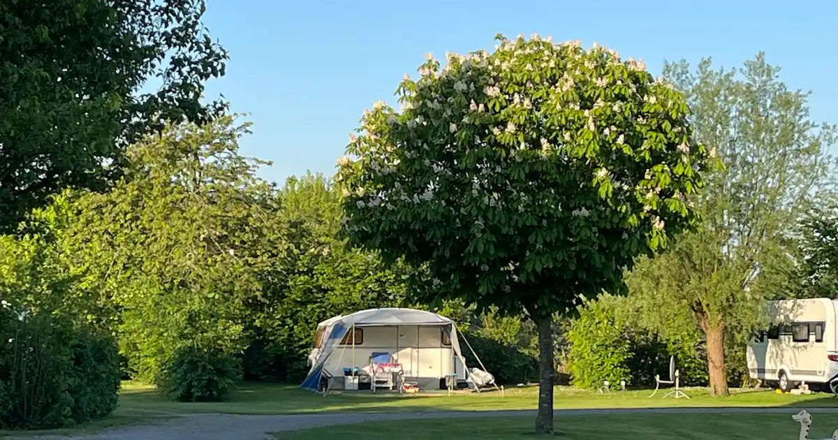Minicamping De Knokkert