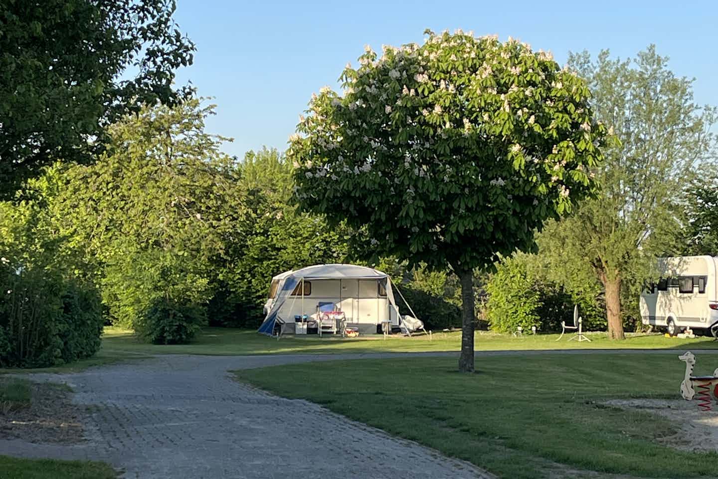 Minicamping De Knokkert