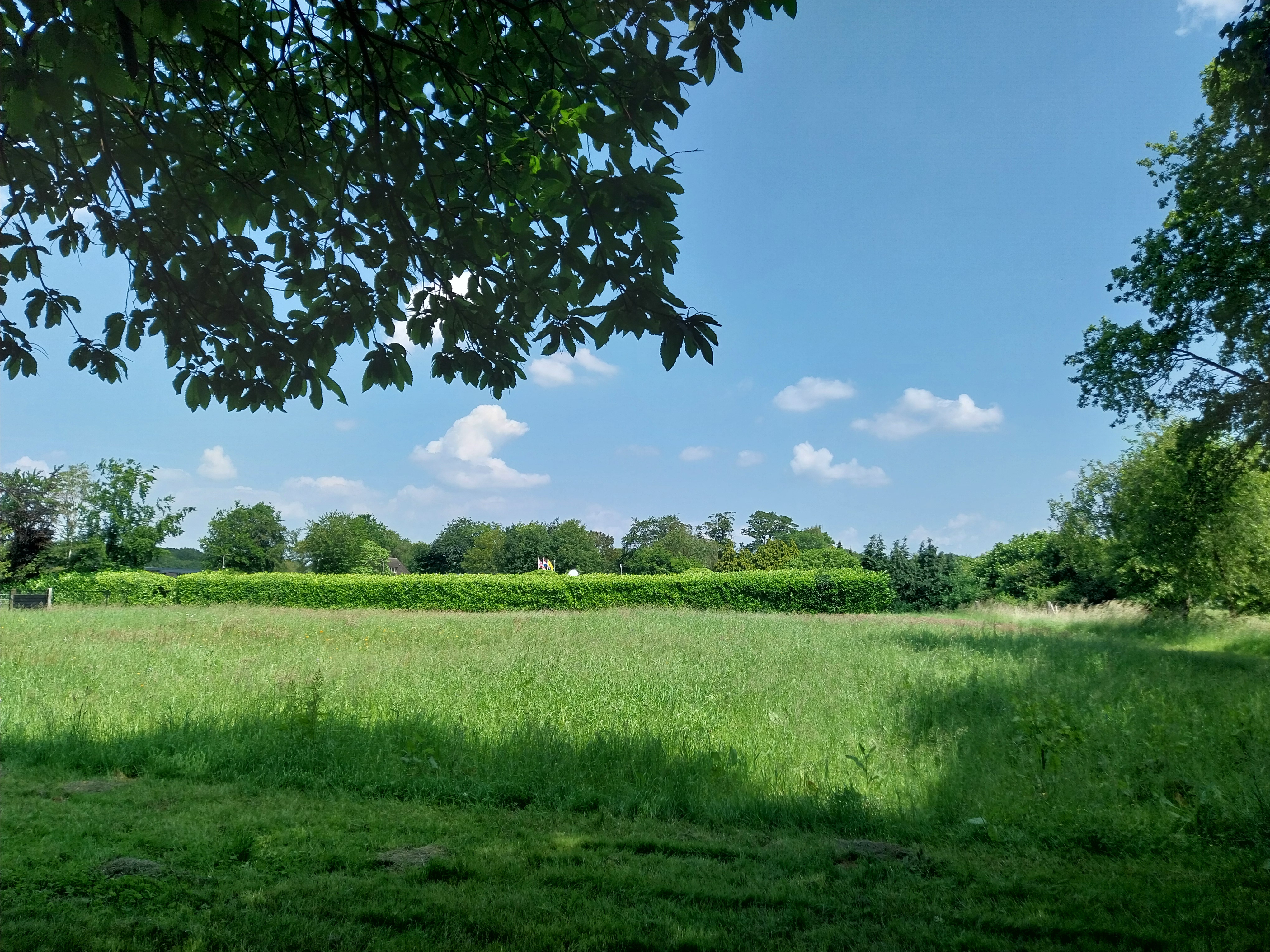 Minicamping De Kwikstaart