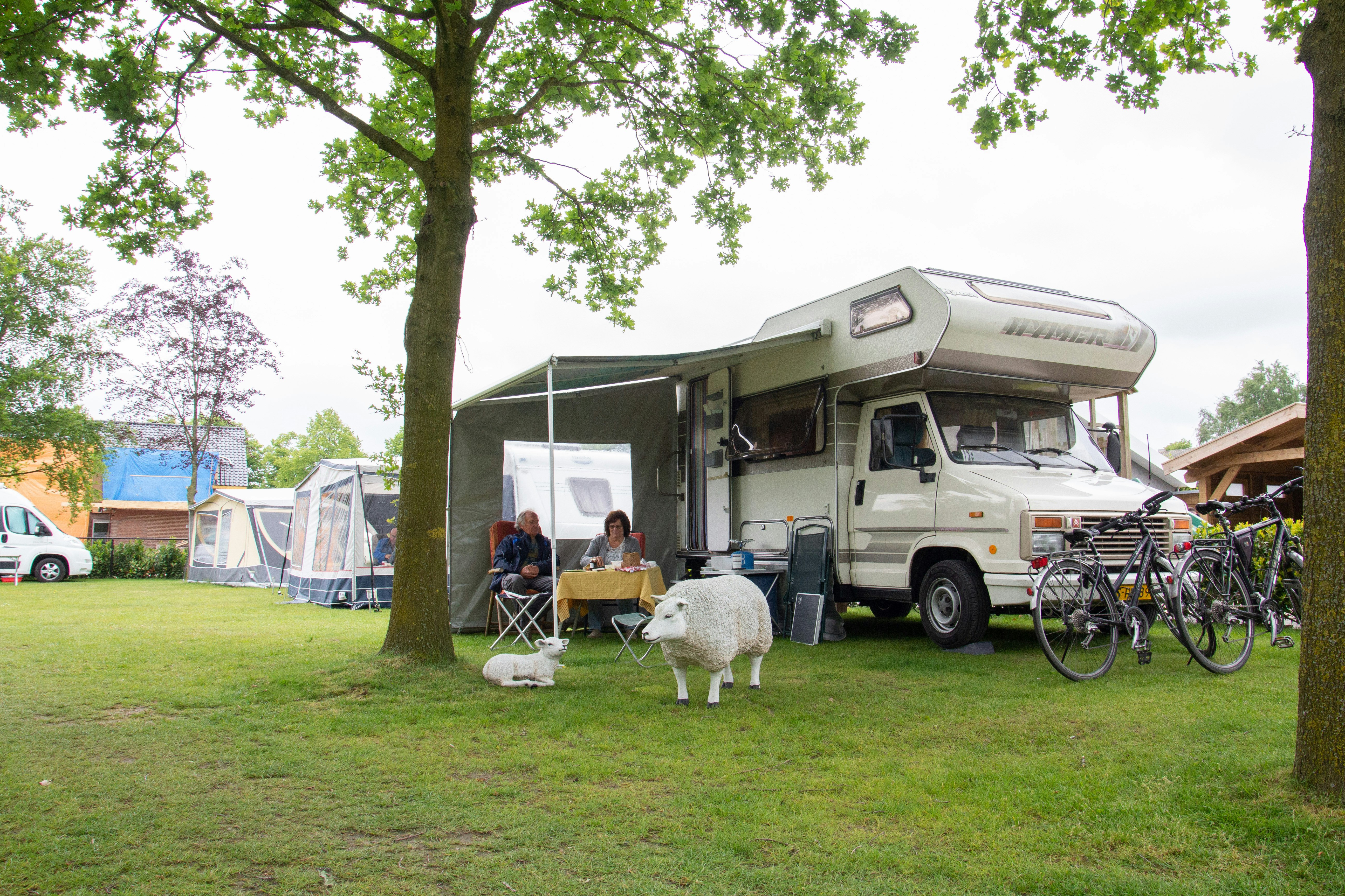 Minicamping De Landerijen - Blick auf die Standplätze auf der Wiese