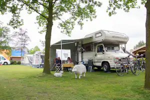 Minicamping De Landerijen - Blick auf die Standplätze auf der Wiese