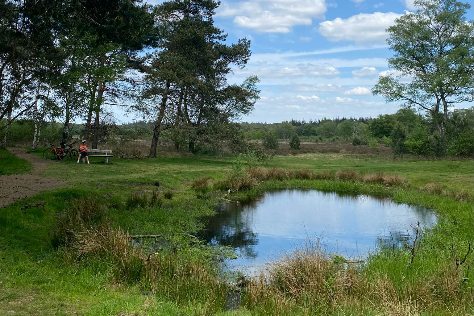 Minicamping De Loenense Brug - Kleiner Teich im Grünen auf dem Campingplatz