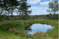 Minicamping De Loenense Brug - Kleiner Teich im Grünen auf dem Campingplatz
