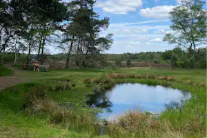 Minicamping De Loenense Brug - Kleiner Teich im Grünen auf dem Campingplatz