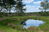 Minicamping De Loenense Brug - Kleiner Teich im Grünen auf dem Campingplatz